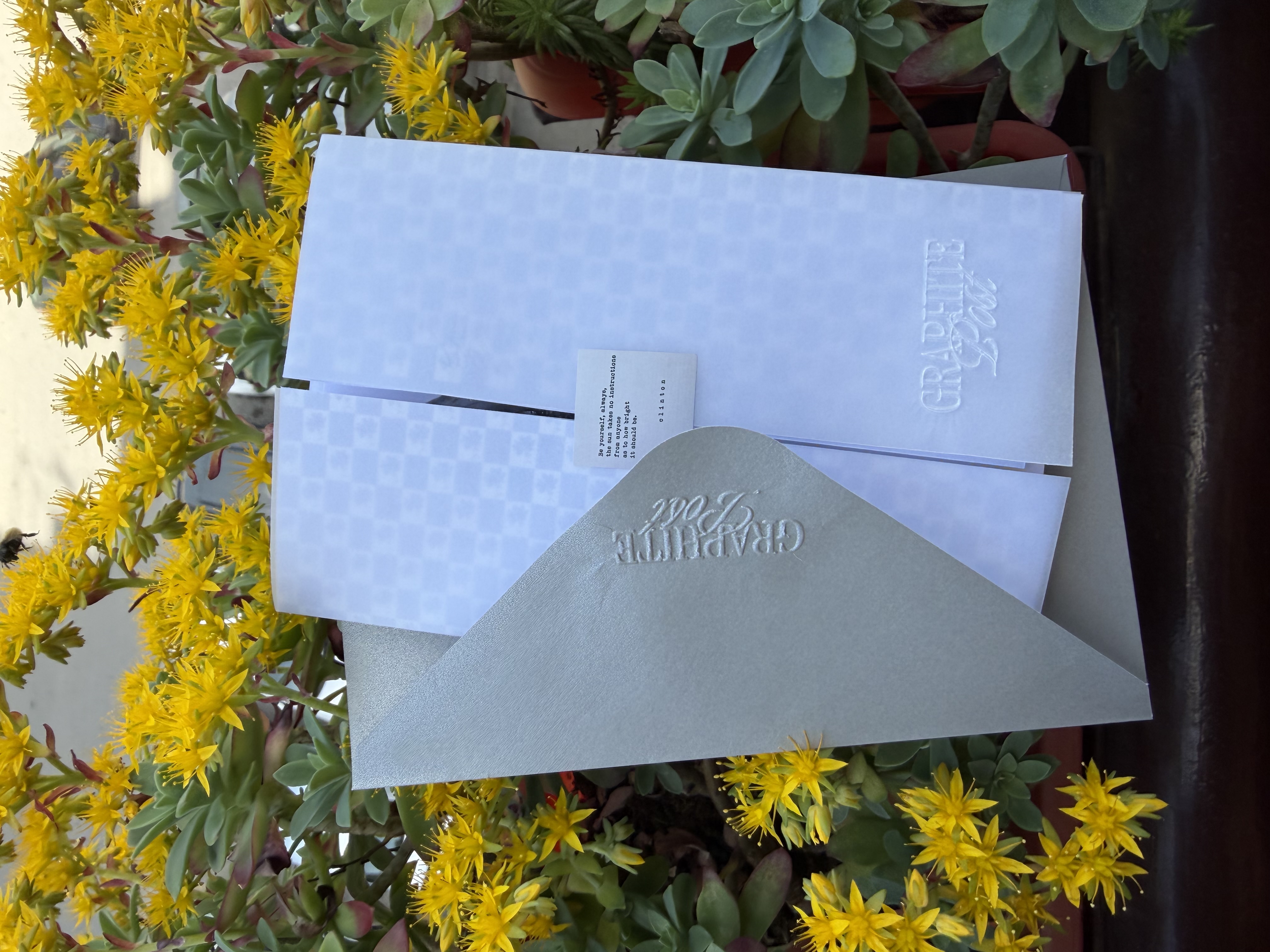 Graphite Post dahlia package outdoors with flowers