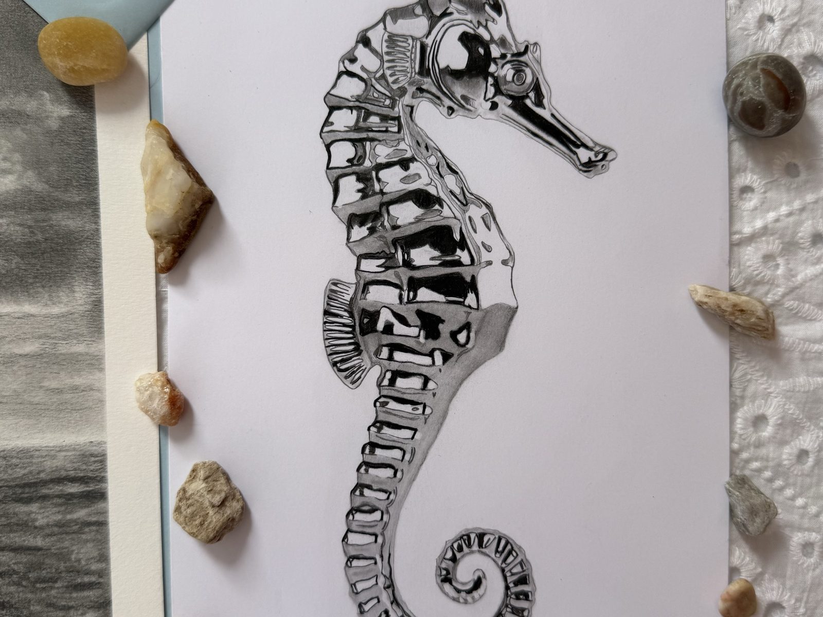 Graphite Post seahorse collection — close-up of the hand-drawn seahorse print